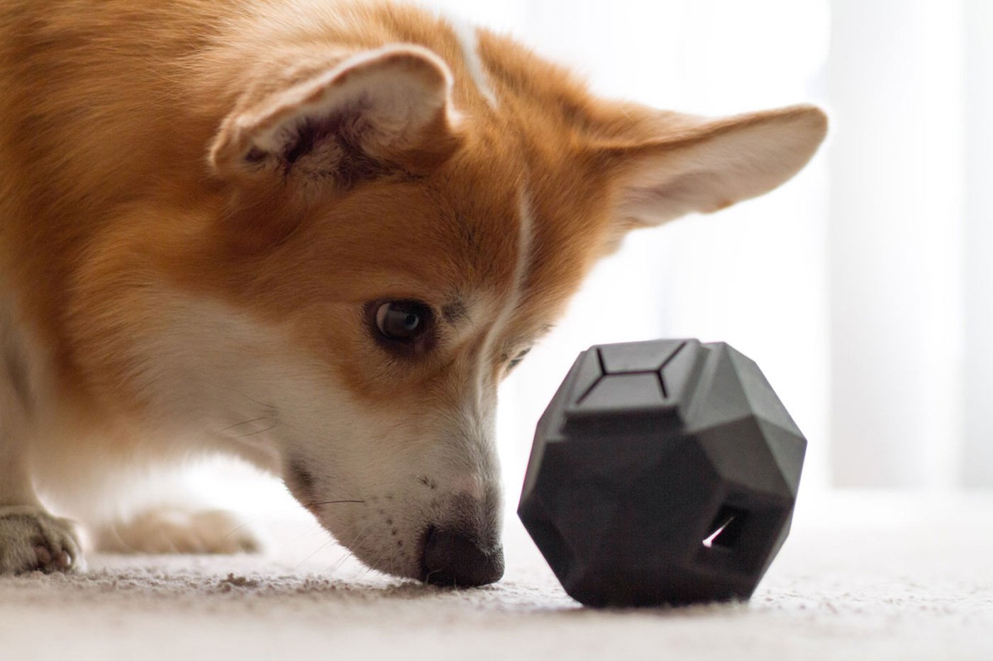 Minimalist Treat-Dispensing Puzzle by Up Dog Toys