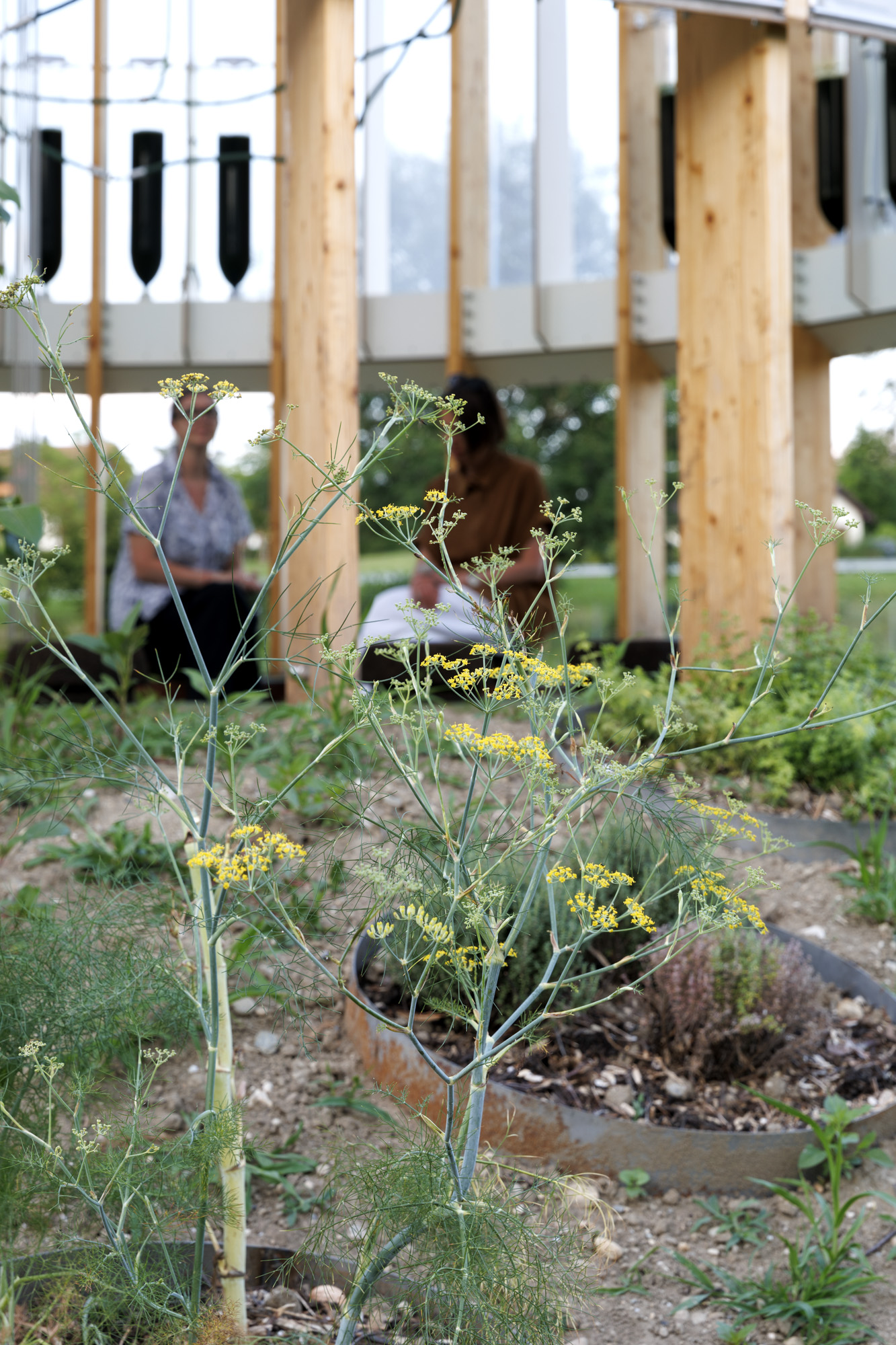 AirBubble, A Restorative Biotech Garden in Switzerland - Gessato