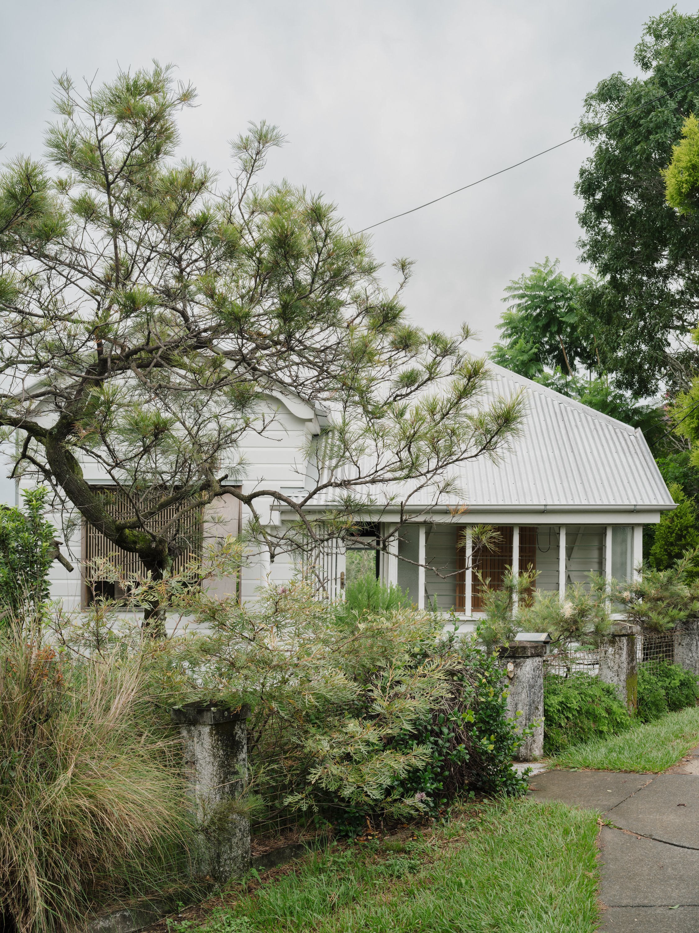 Red Hill House and Studio - Gessato