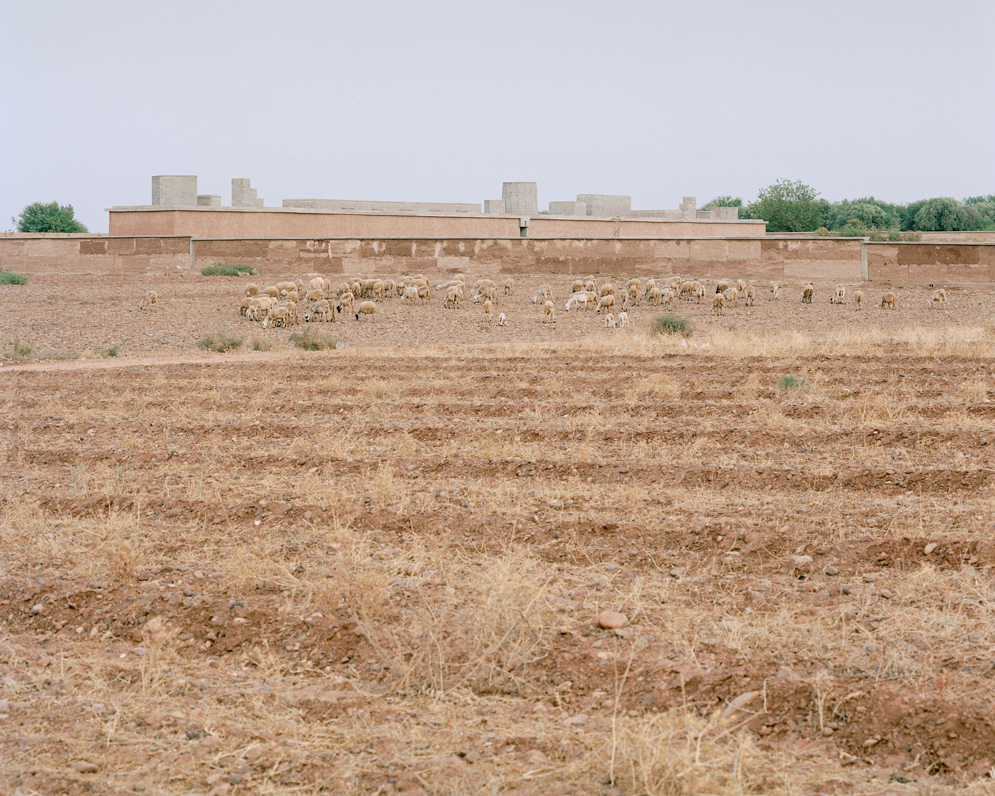 Dar El Farina House - Gessato