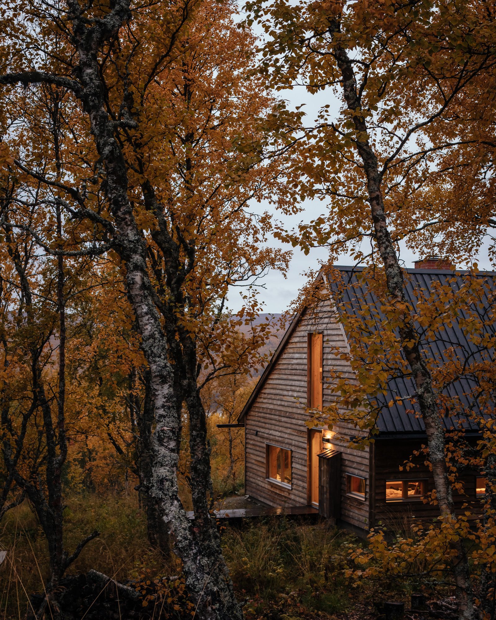 The Hat House - Gessato