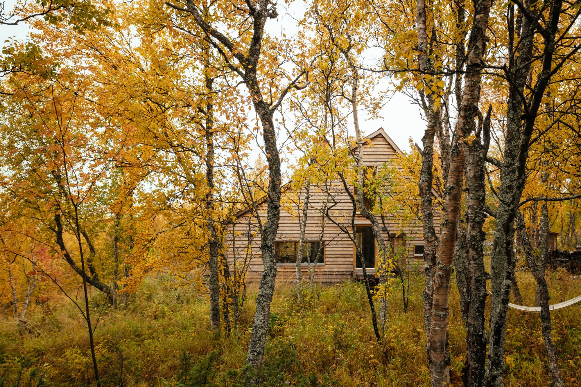 The Hat House - Gessato