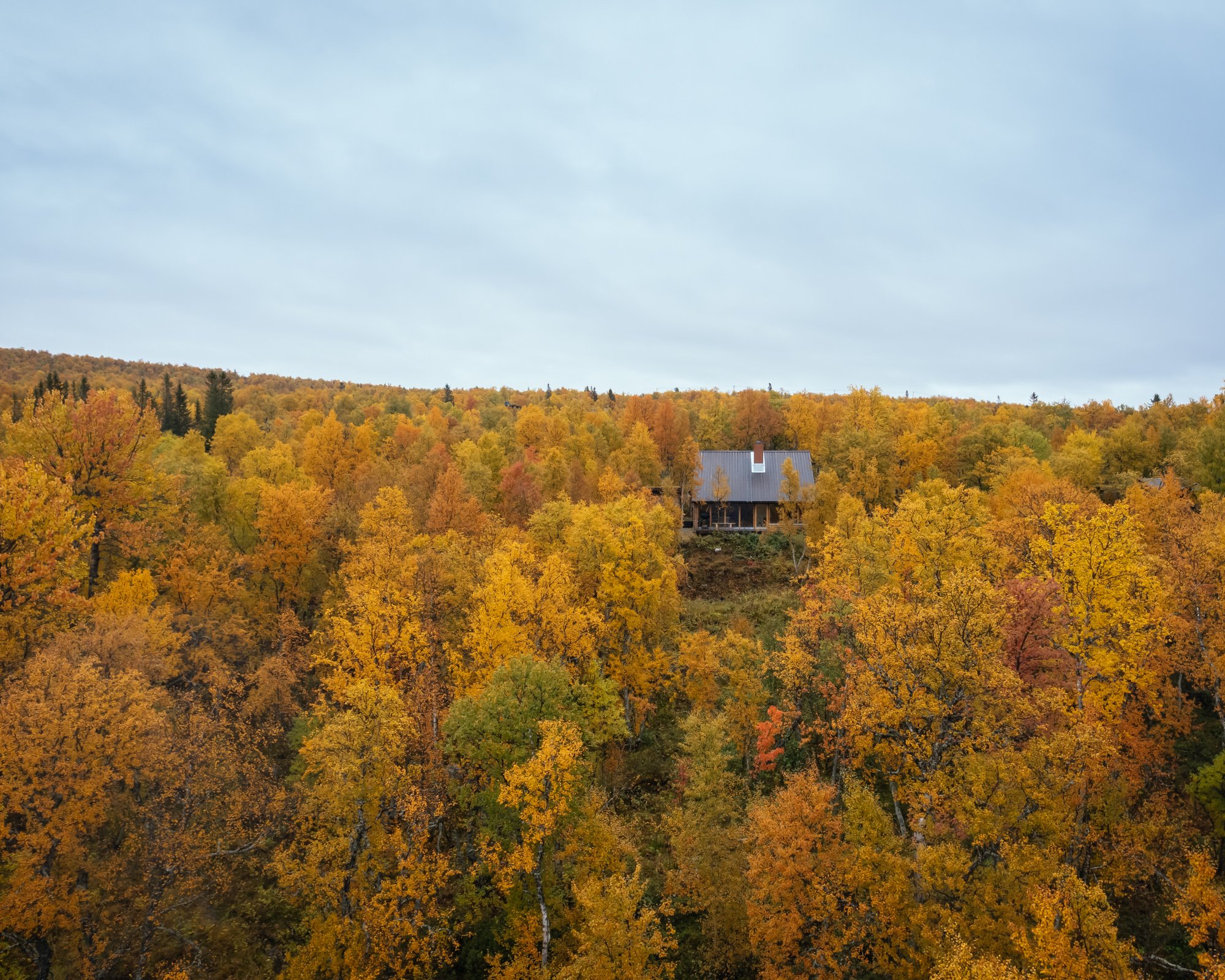 The Hat House - Gessato