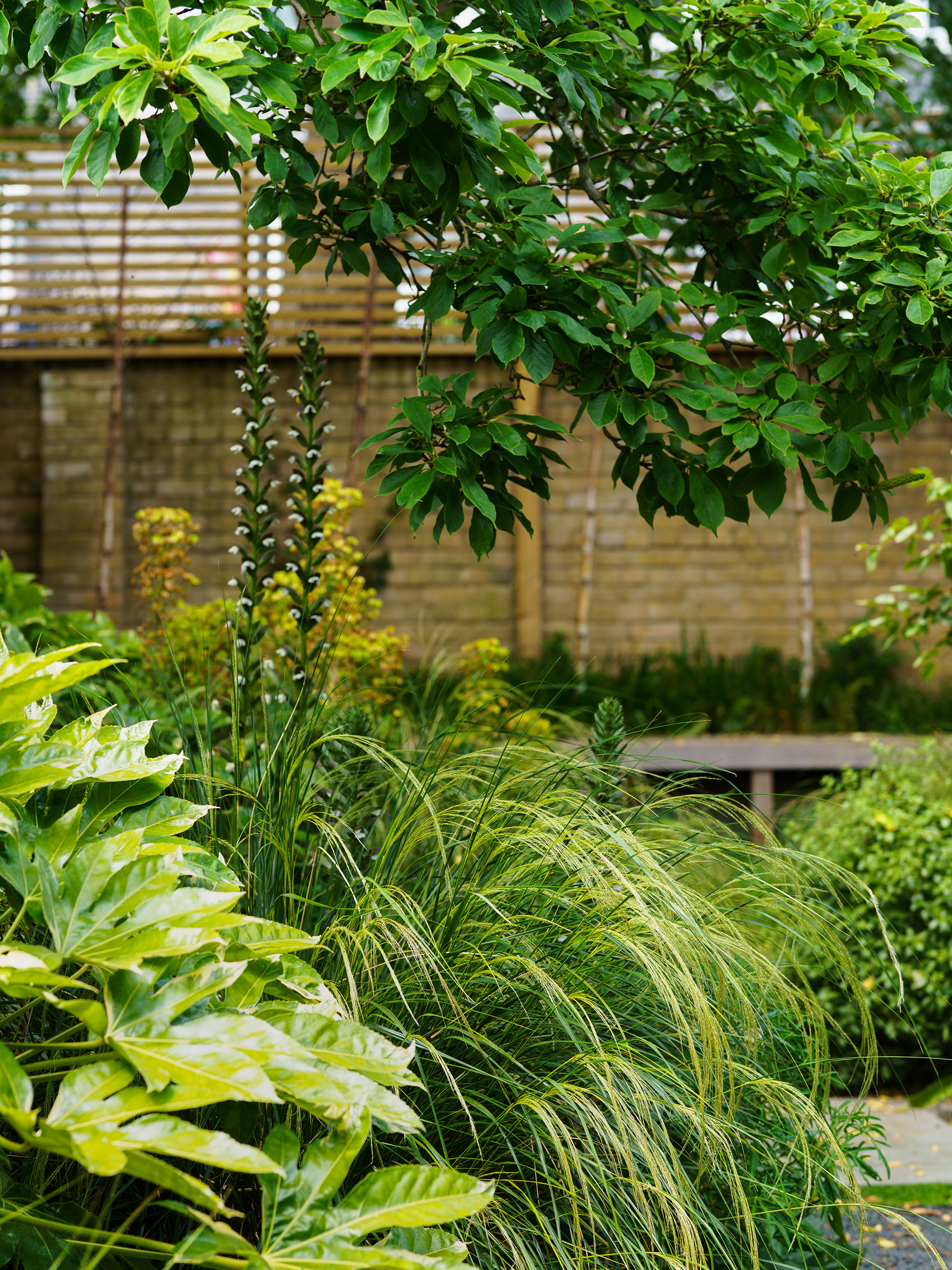 Verdant House - Gessato