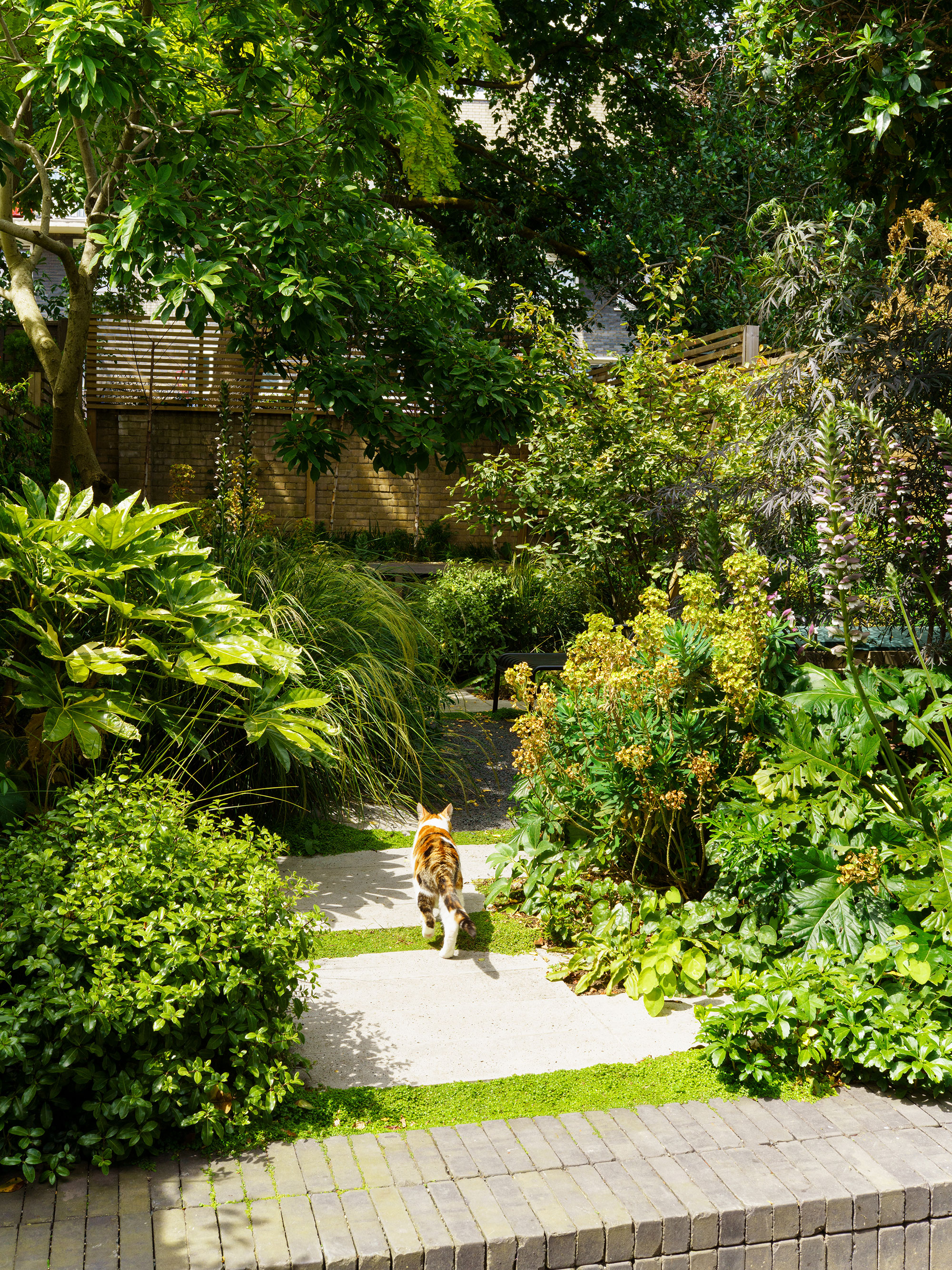 Verdant House - Gessato