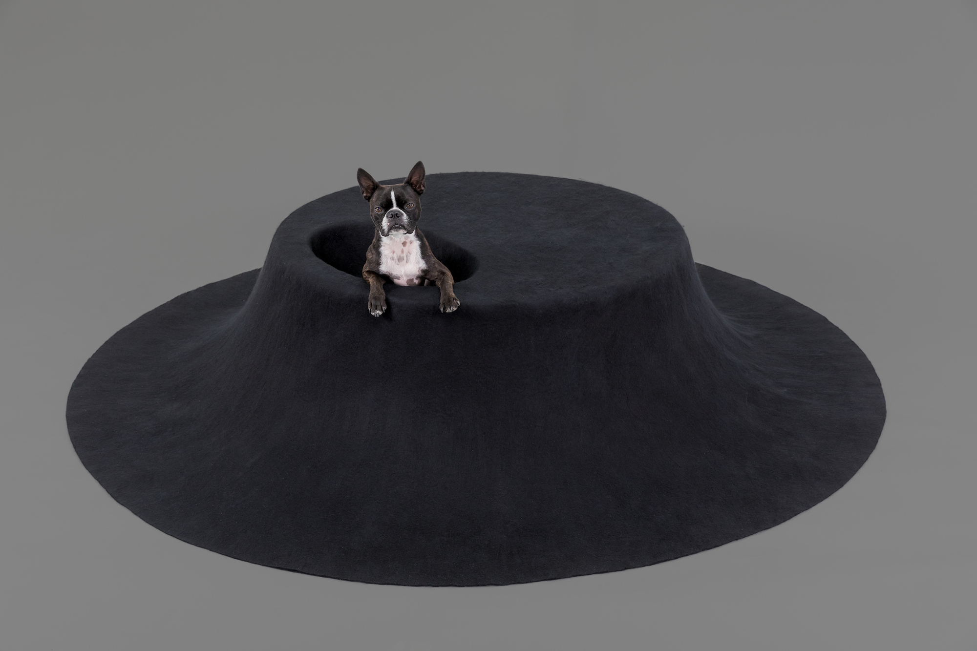 Architecture for Dogs, A Project Created for Man's Best Friend - Gessato