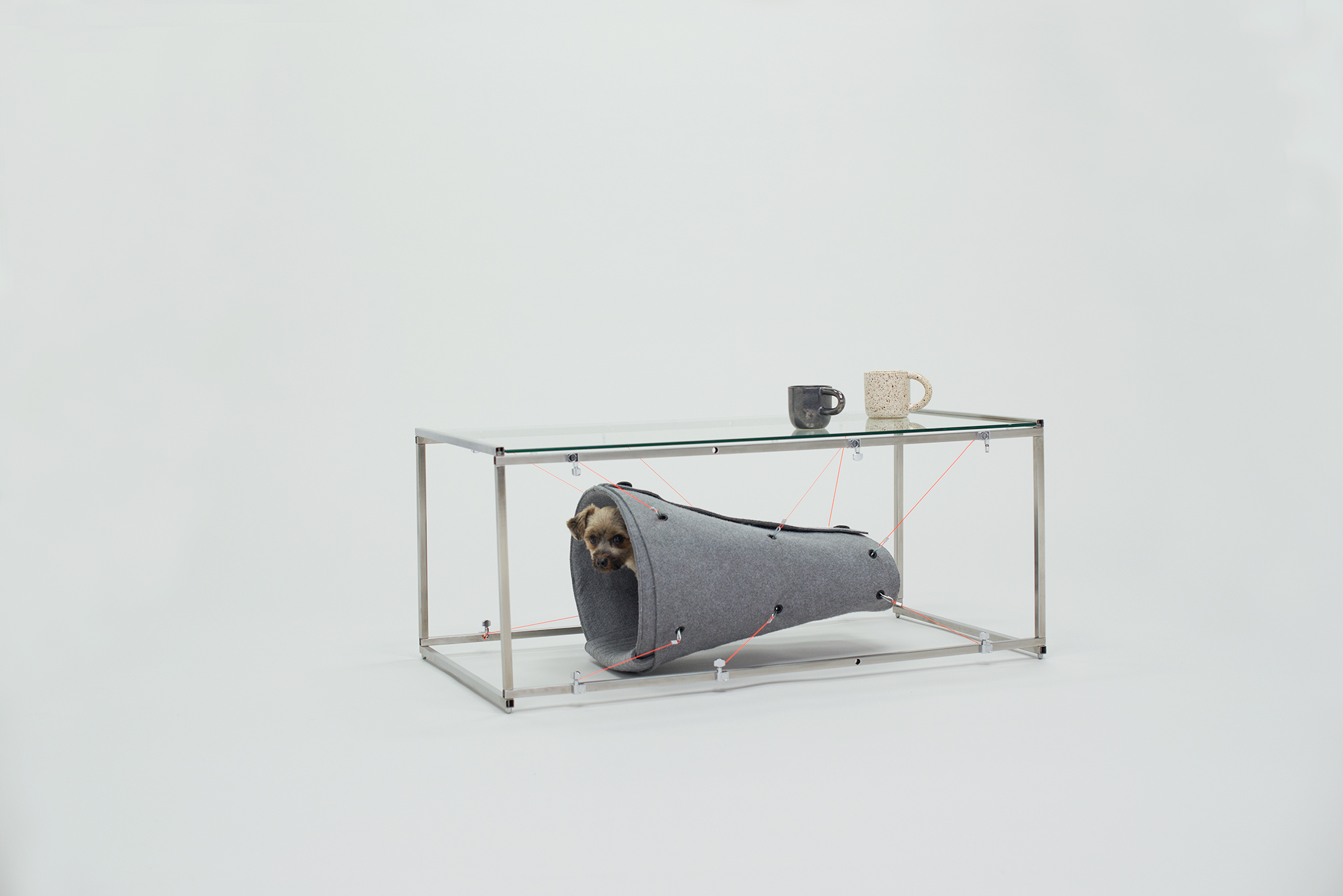 Architecture for Dogs, A Project Created for Man's Best Friend - Gessato