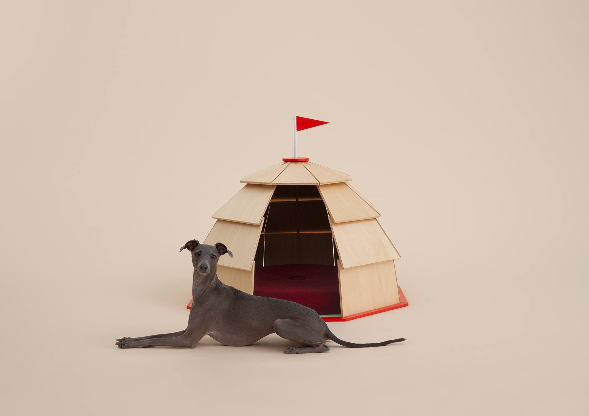 Architecture for Dogs, A Project Created for Man's Best Friend - Gessato