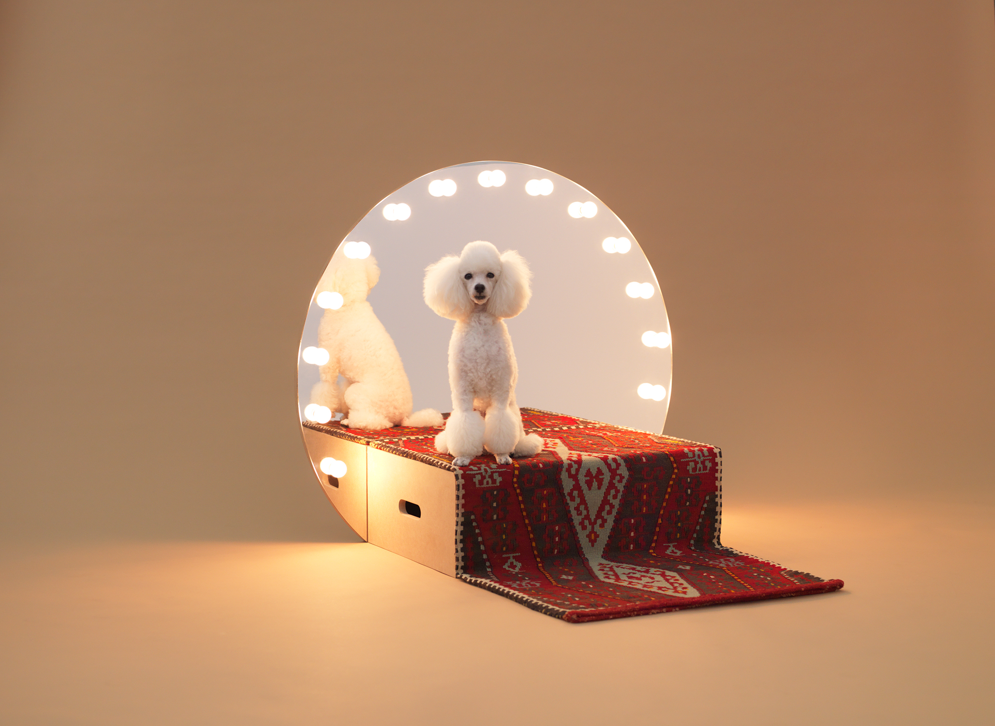 Architecture for Dogs, A Project Created for Man's Best Friend - Gessato