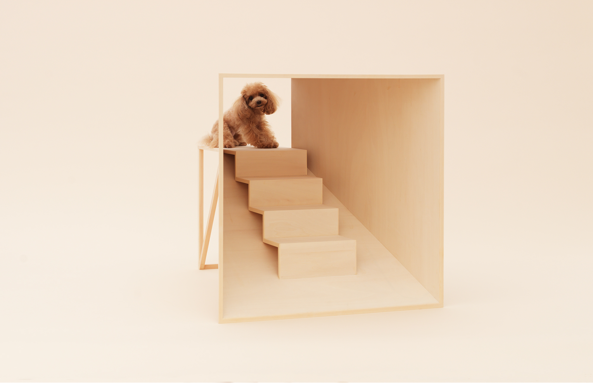 Architecture for Dogs, A Project Created for Man's Best Friend - Gessato