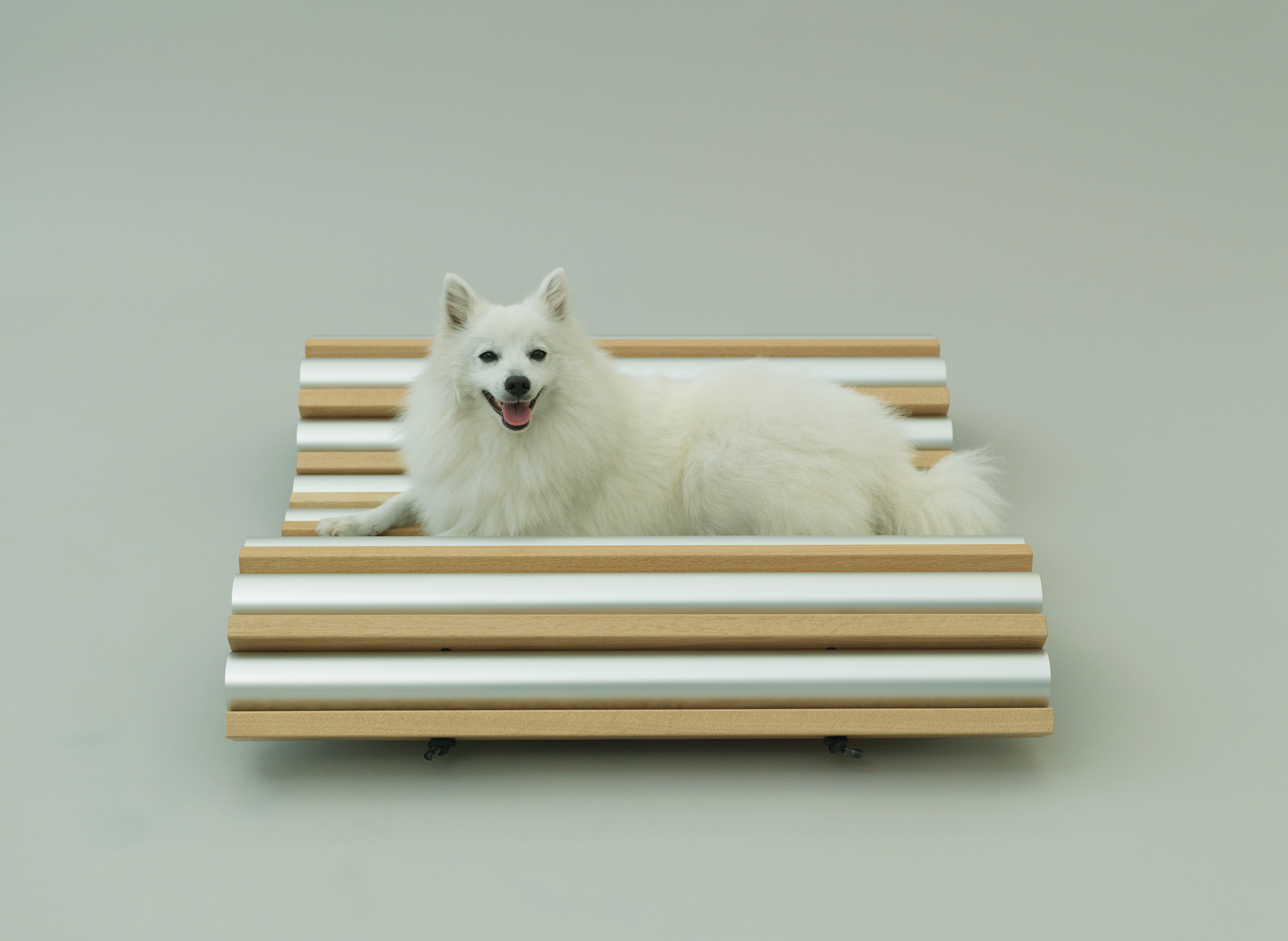 Architecture for Dogs, A Project Created for Man's Best Friend - Gessato