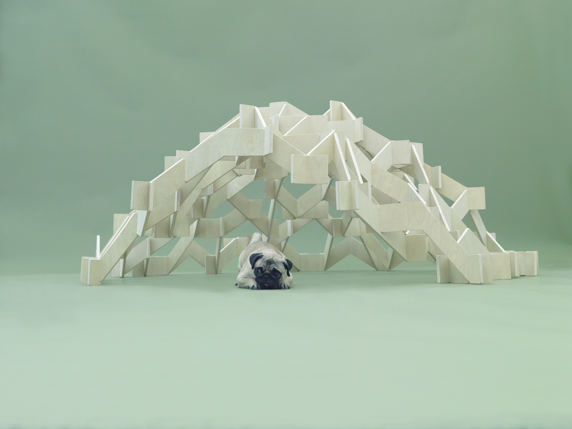 Architecture for Dogs, A Project Created for Man's Best Friend - Gessato