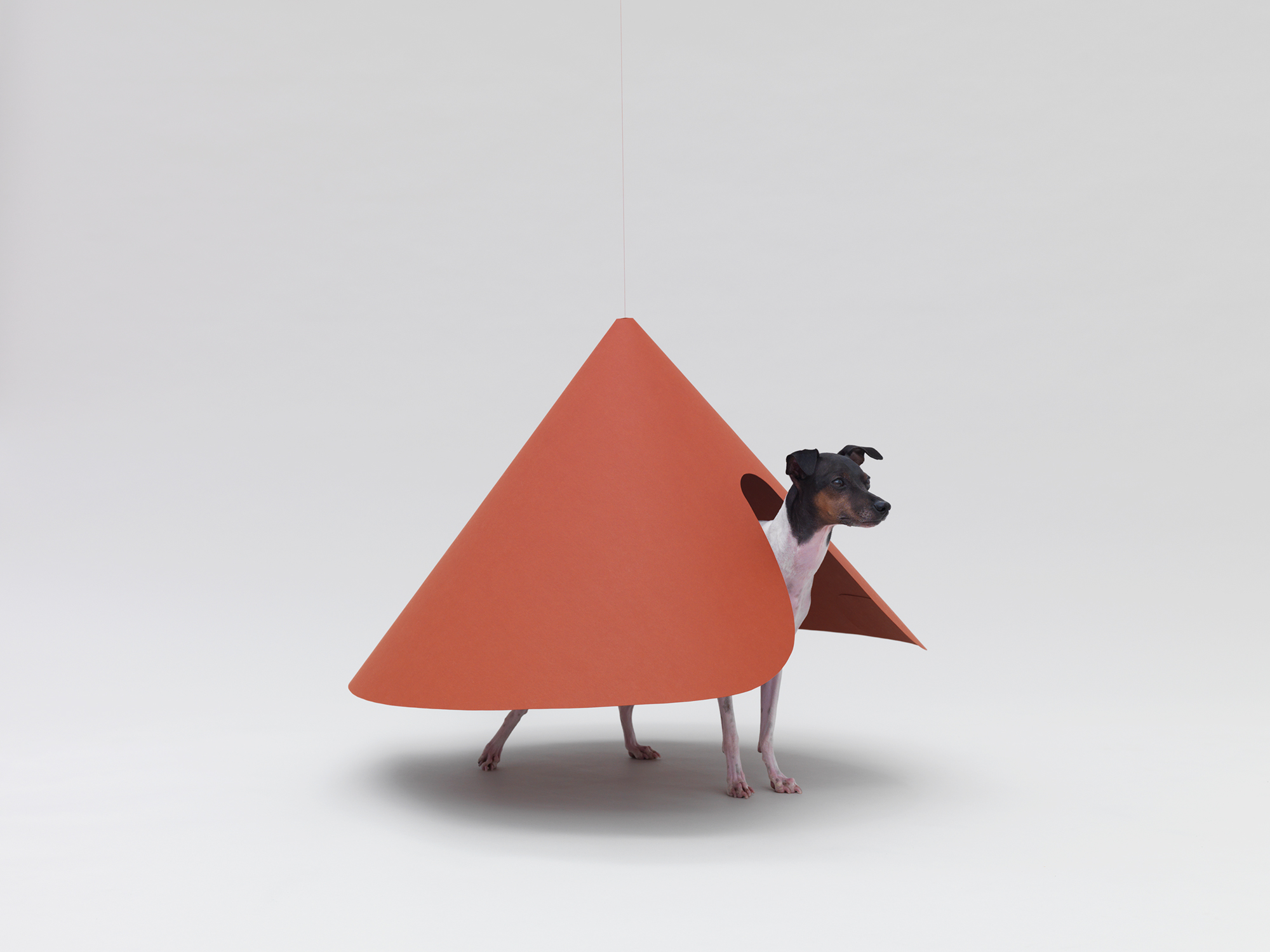 Architecture for Dogs, A Project Created for Man's Best Friend - Gessato