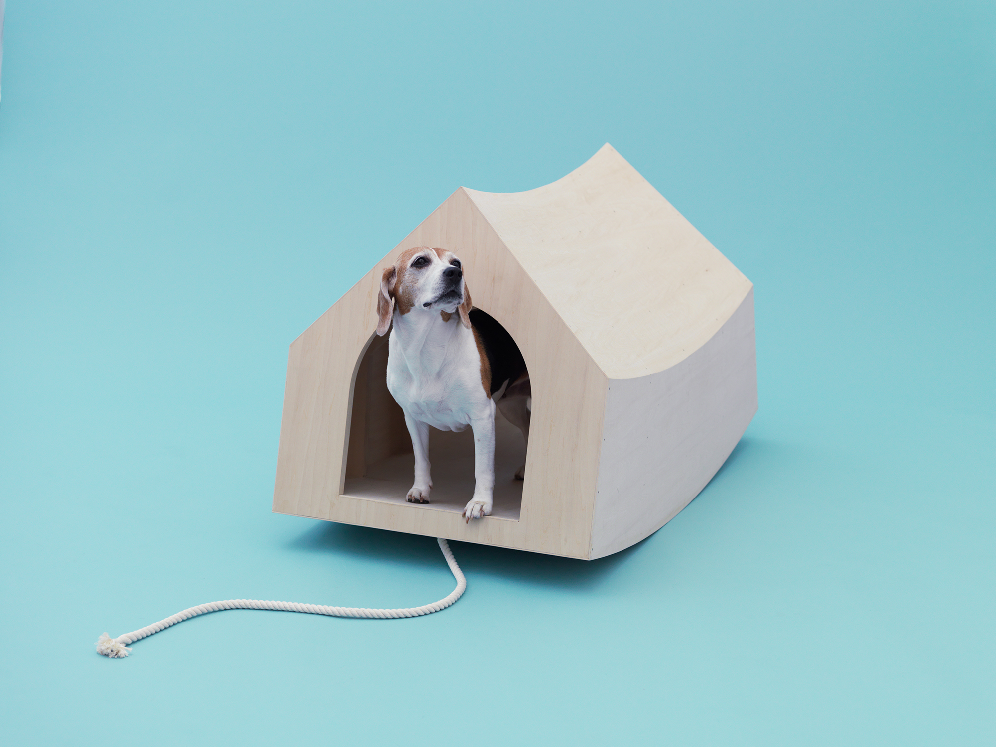 Architecture for Dogs, A Project Created for Man's Best Friend - Gessato