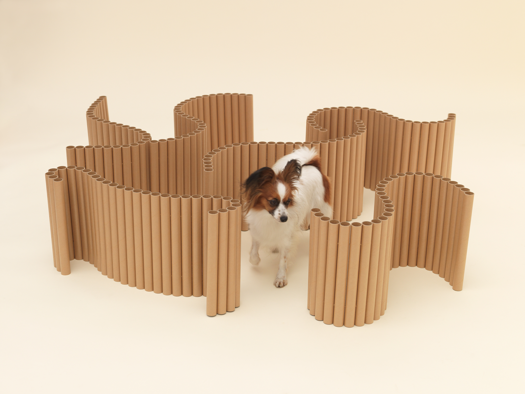 Architecture for Dogs, A Project Created for Man's Best Friend - Gessato