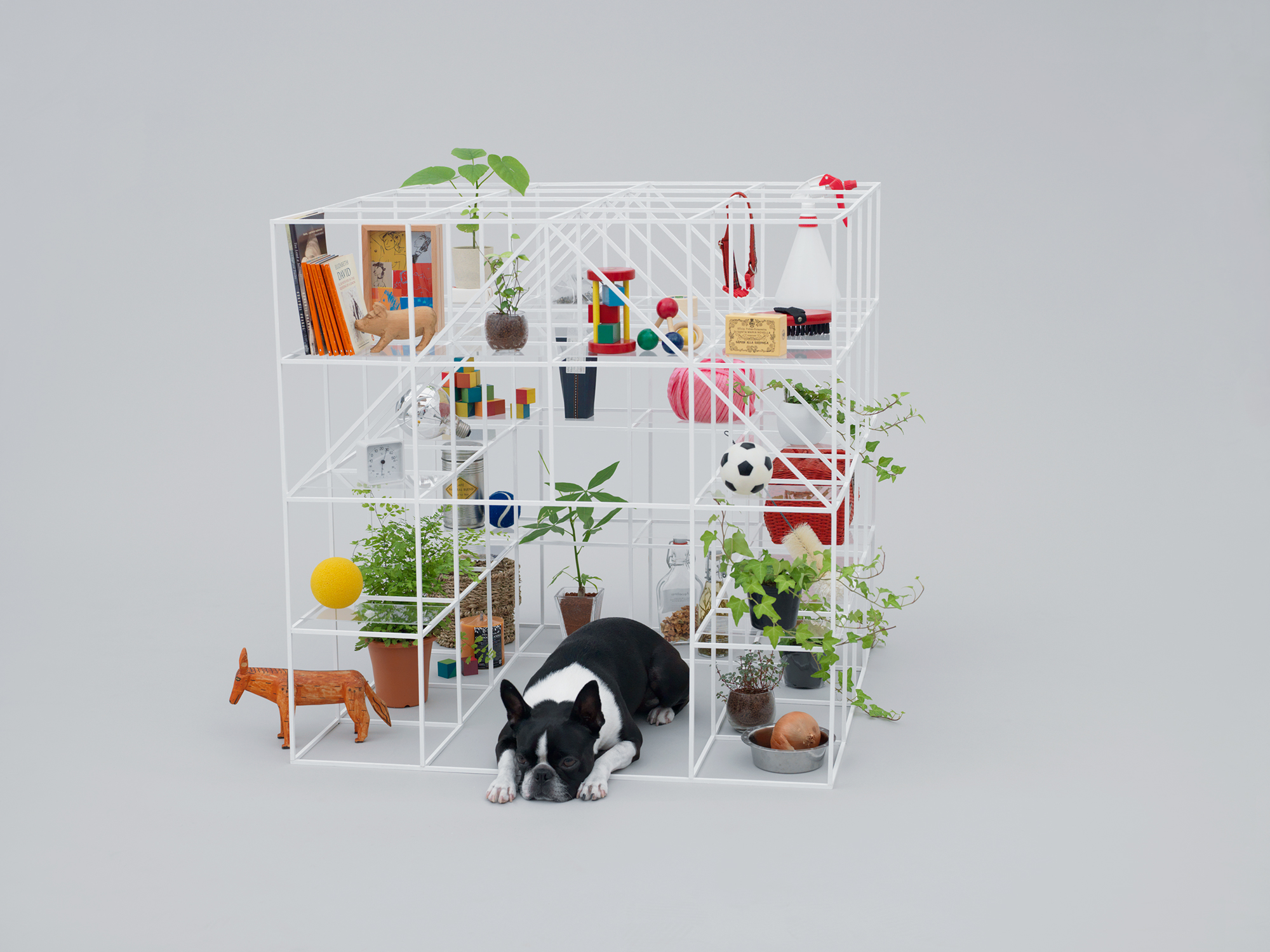 Architecture for Dogs, A Project Created for Man's Best Friend - Gessato