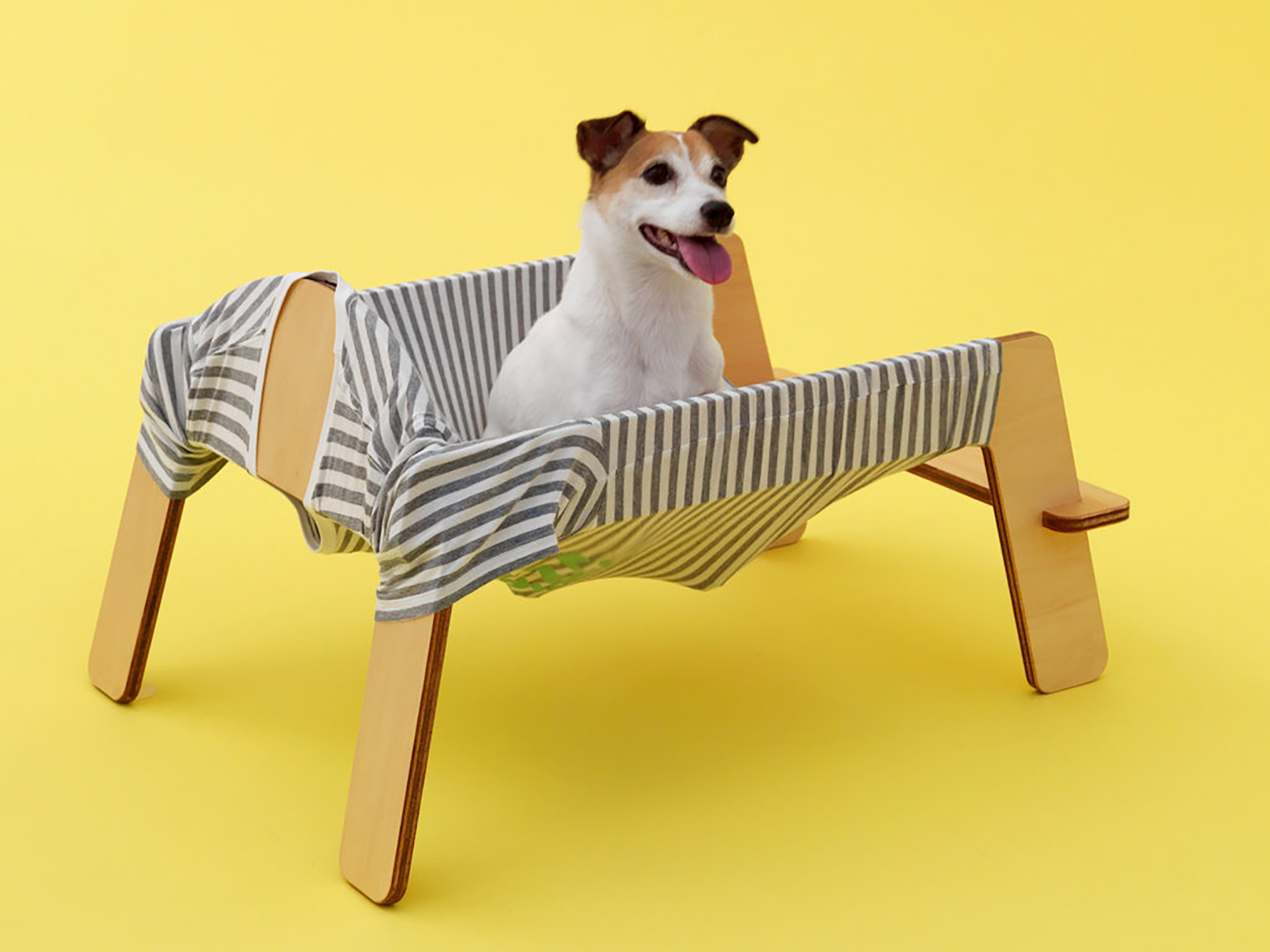 Architecture for Dogs, A Project Created for Man's Best Friend - Gessato