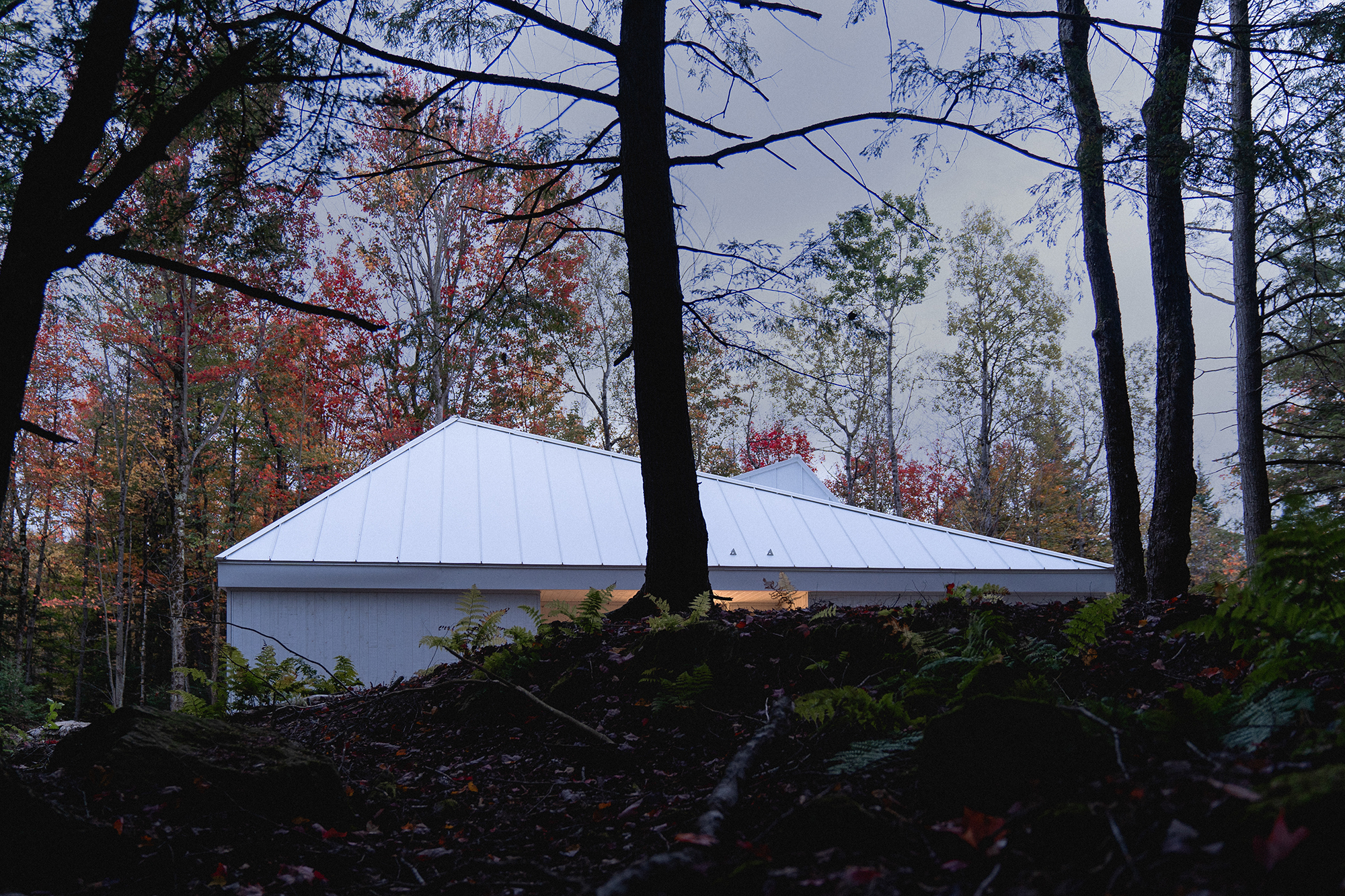 Selenite, A Forest Chalet Designed for Quiet Relaxation - Gessato