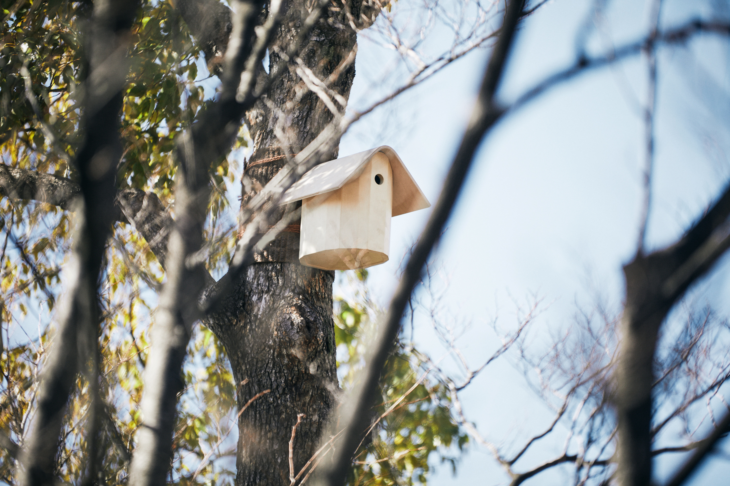 The Tokyu Birdhouse - Gessato