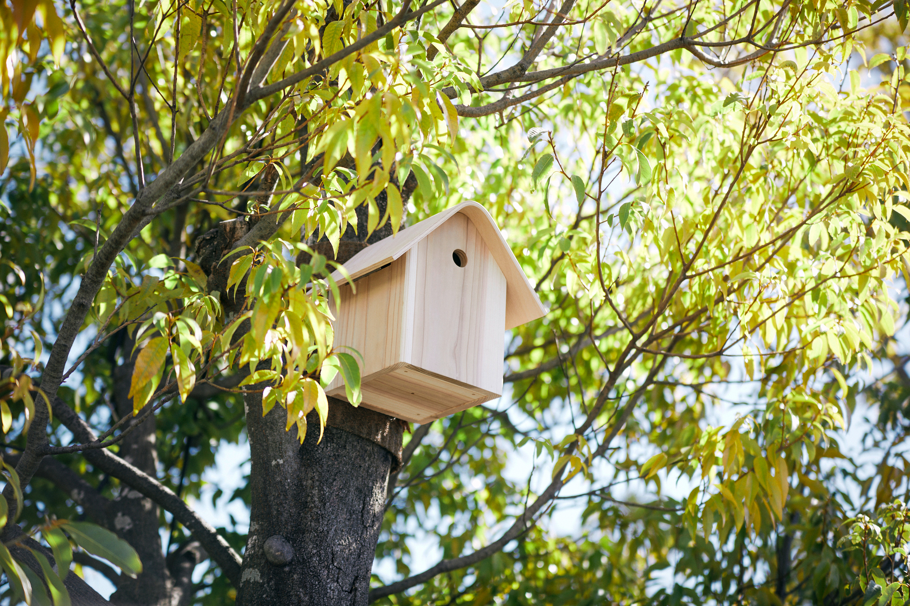 The Tokyu Birdhouse - Gessato